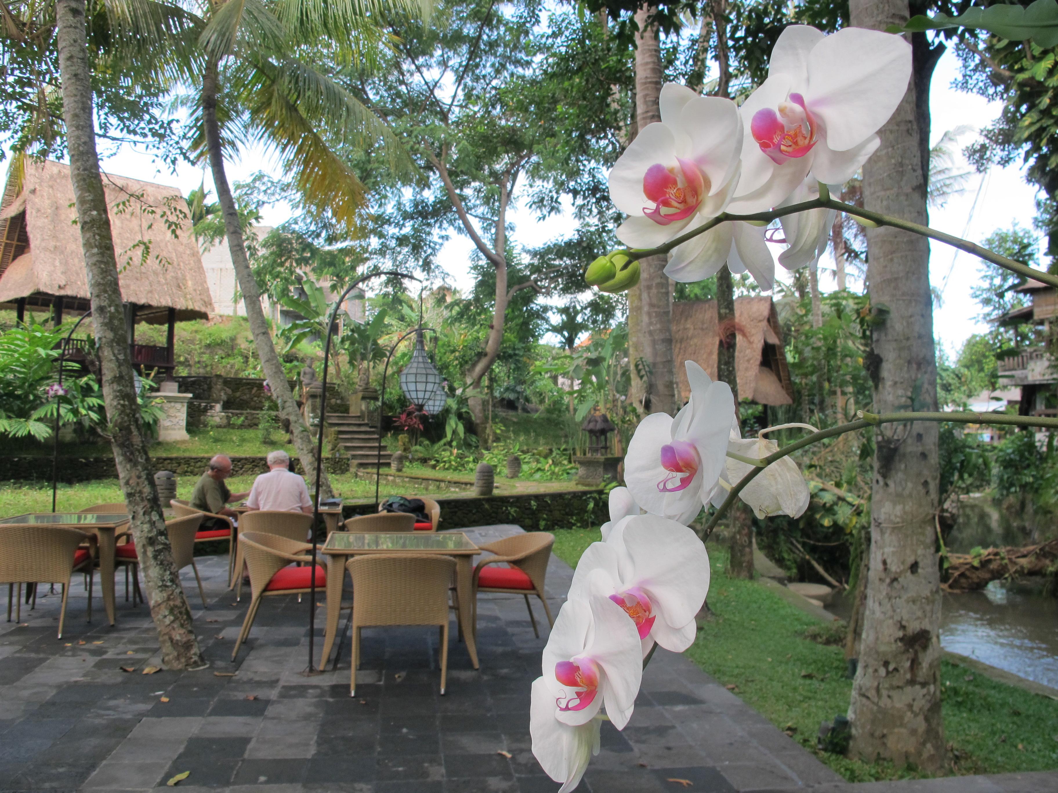 Arma Museum & Resort 4*