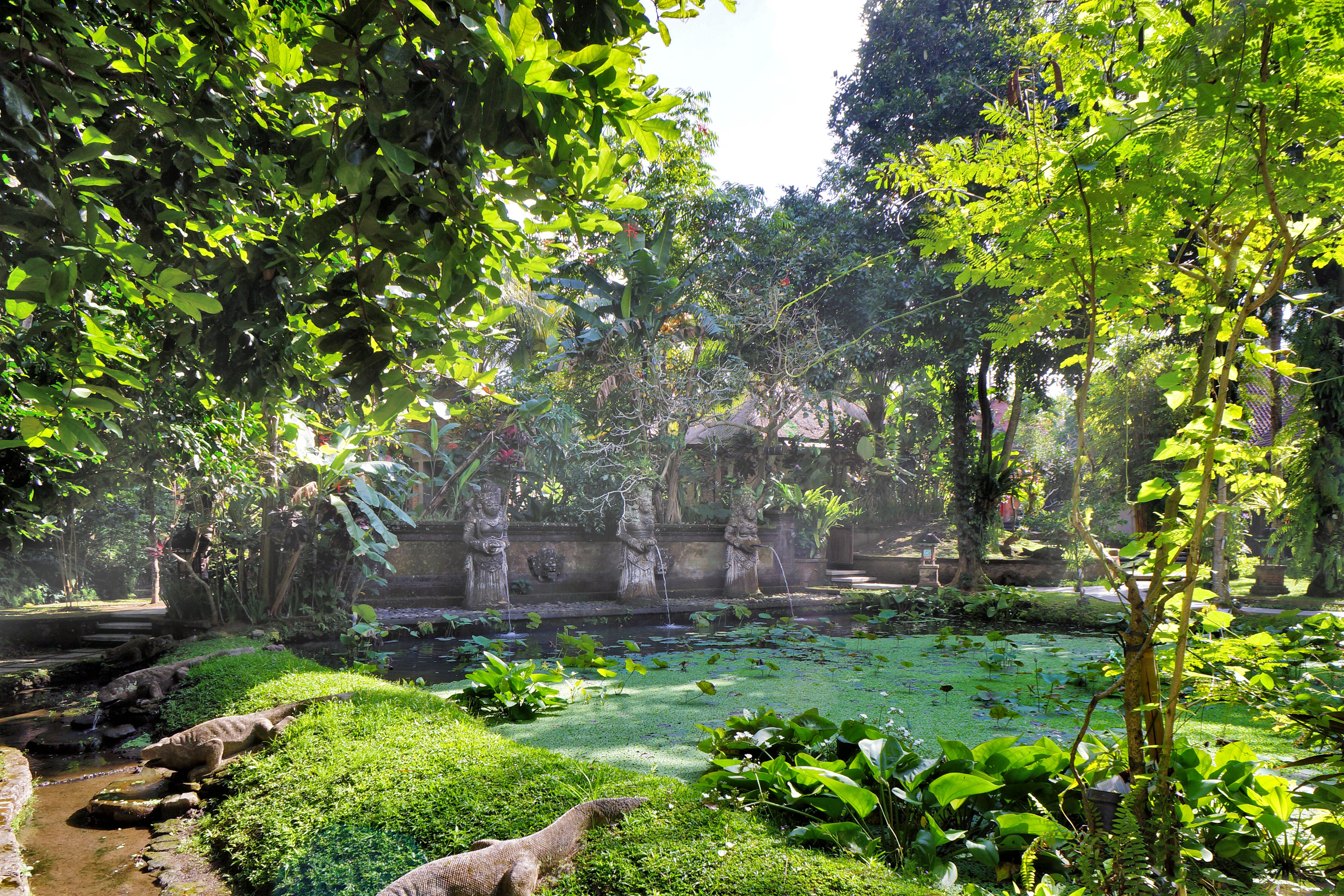 Arma Museum & Ubud (Bali)