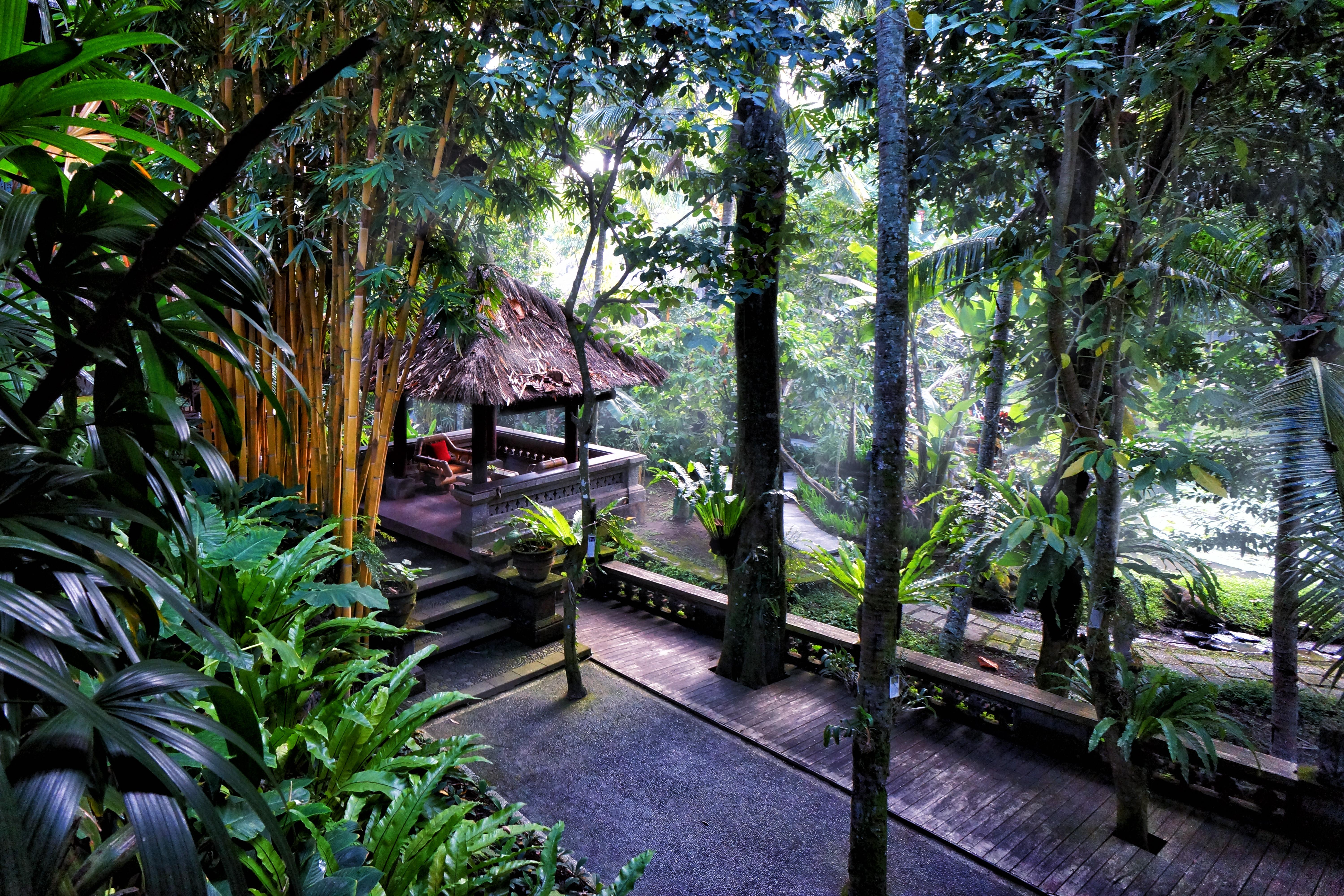 Arma Museum & Resort 4*